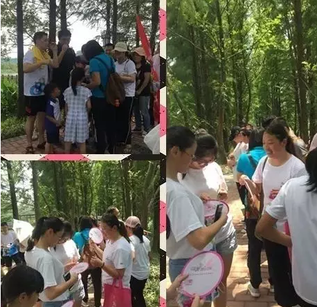 奧鵬教育南京學習中心“南山漂流、天目湖國家濕地公園一日游”活動后記