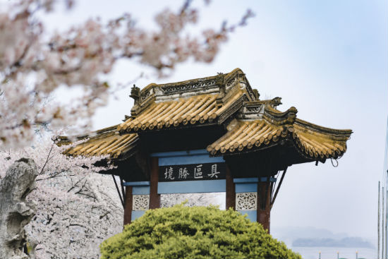 西南大學(xué)專升本報名截止時間是什么時候？