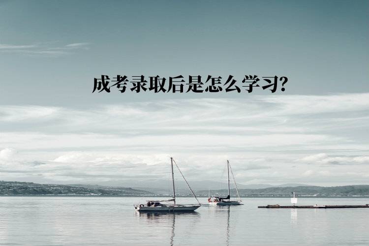 成考錄取后是怎么學習？
