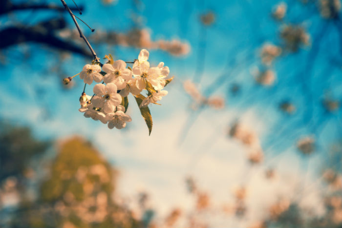 視覺傳達(dá)設(shè)計(jì)專升本報(bào)名到畢業(yè)學(xué)費(fèi)要多少錢？