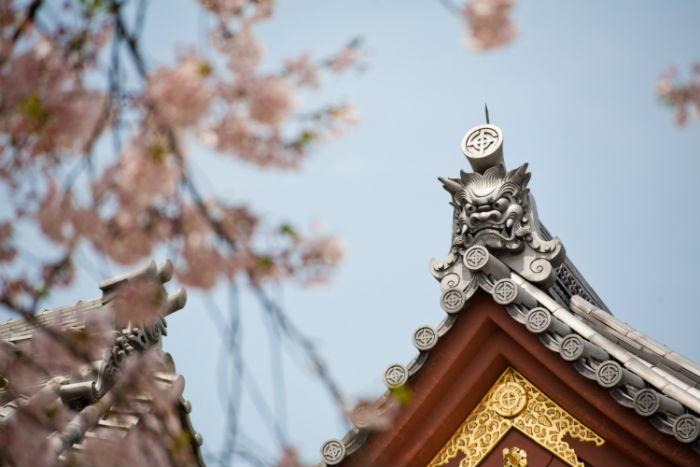 平頂山提升學(xué)歷方式哪種好？學(xué)歷提升招生學(xué)校有多少？