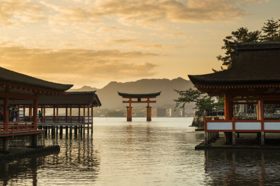 西安交通大學網(wǎng)絡(luò)教育學院有新的招生簡章和報考規(guī)定了嗎？