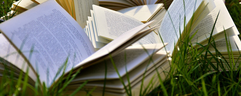 北京政法職業(yè)學(xué)院可以專升本科嗎