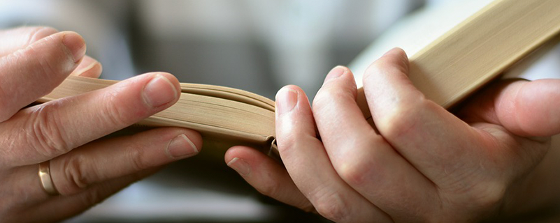 北京政法職業(yè)學(xué)院專升本是哪些學(xué)校