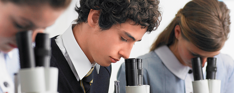 安徽汽車職業(yè)技術(shù)學(xué)院如何專升本