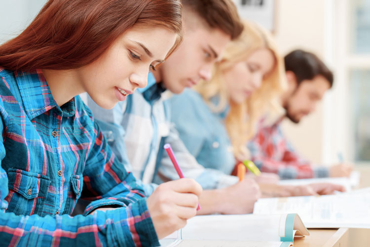 北京外國語大學招生專升本嗎？專升本報名專業(yè)有哪些？