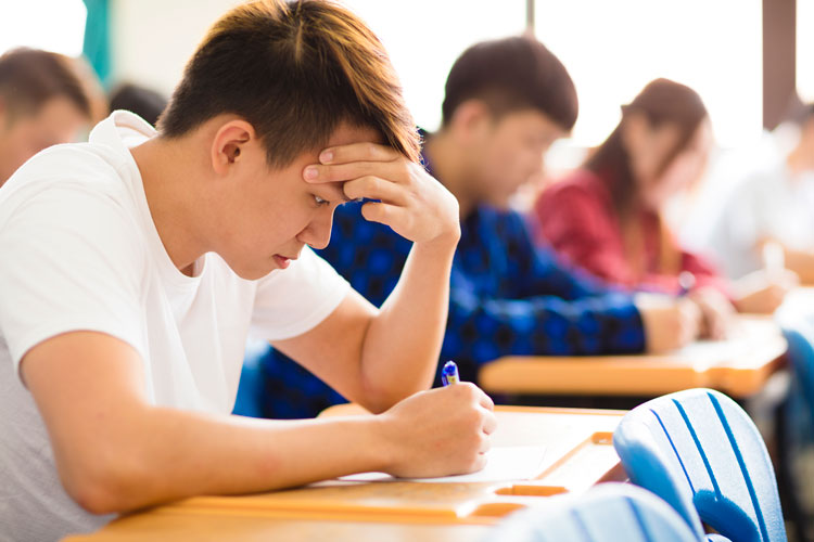 東北大學能專升本嗎？