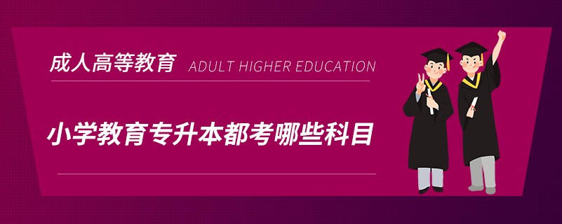 小學教育專升本都考哪些科目