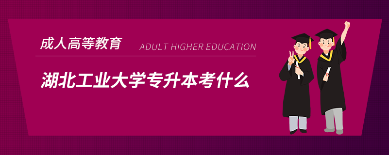 湖北工業(yè)大學(xué)專升本考什么