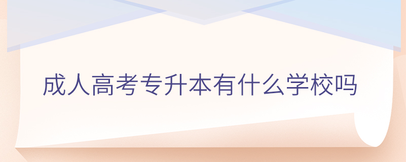 成人高考專(zhuān)升本有什么學(xué)校嗎