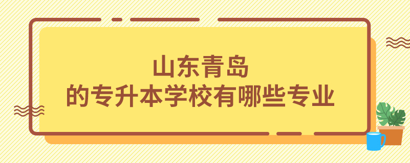 山東青島的專升本學校有哪些專業(yè)