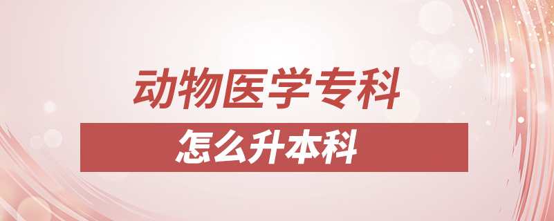 動物醫(yī)學(xué)專科怎么升本科