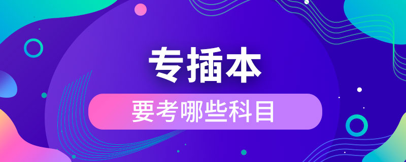 專(zhuān)插本要考哪些科目