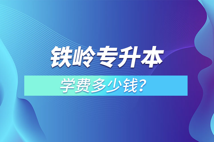 鐵嶺專(zhuān)升本學(xué)費(fèi)大概多少錢(qián)一年？