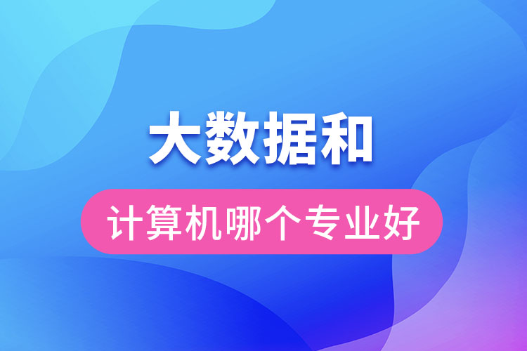 大數(shù)據(jù)和計算機哪個專業(yè)好