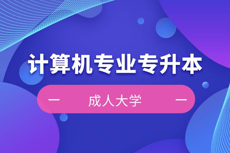 開設(shè)計算機專業(yè)專升本的成人大學