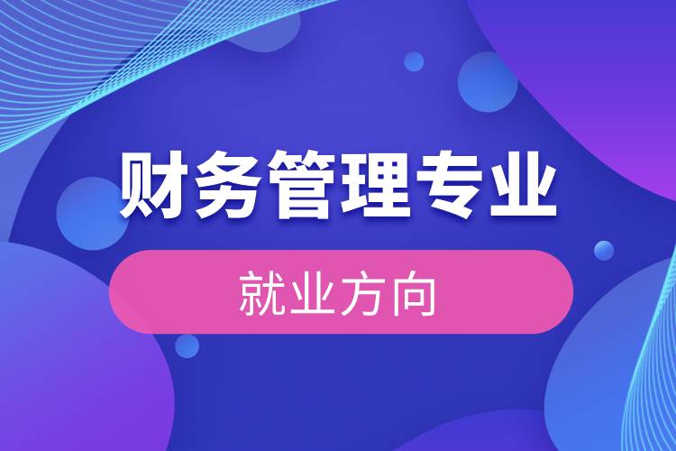 財(cái)務(wù)管理專(zhuān)業(yè)就業(yè)方向