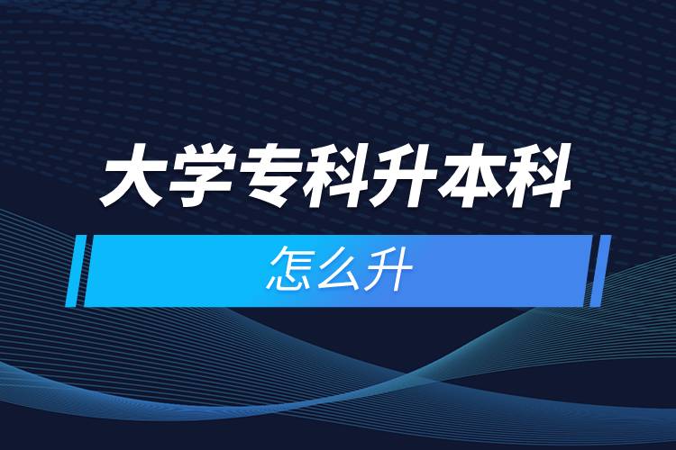 大學(xué)專(zhuān)科升本科怎么升