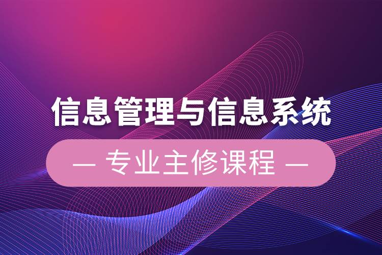 信息管理與信息系統(tǒng)專(zhuān)業(yè)主修課程