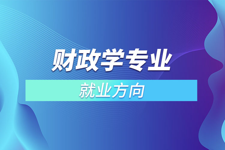 財(cái)政學(xué)專(zhuān)業(yè)就業(yè)方向？