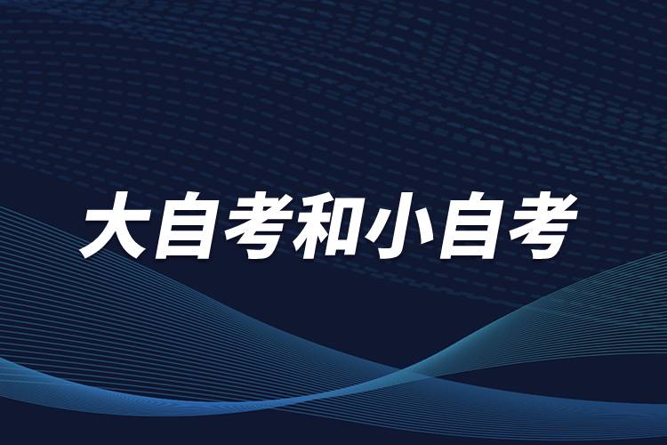 大自考和小自考是什么意思？有什么區(qū)別？