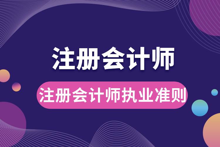 注冊會計師執(zhí)業(yè)準則.jpg