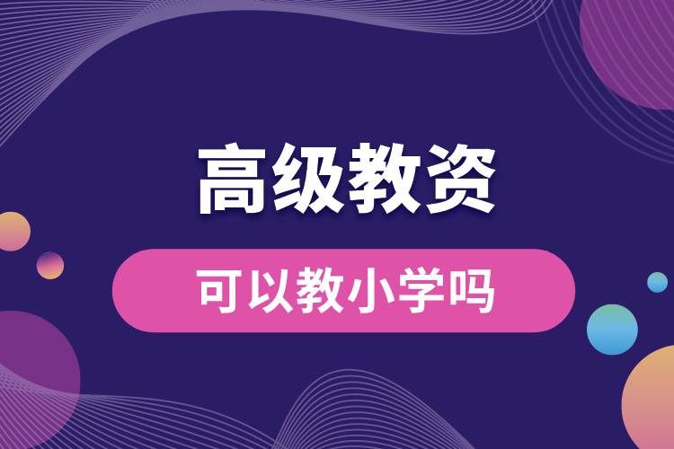 高級的教資可以教小學嗎.jpg