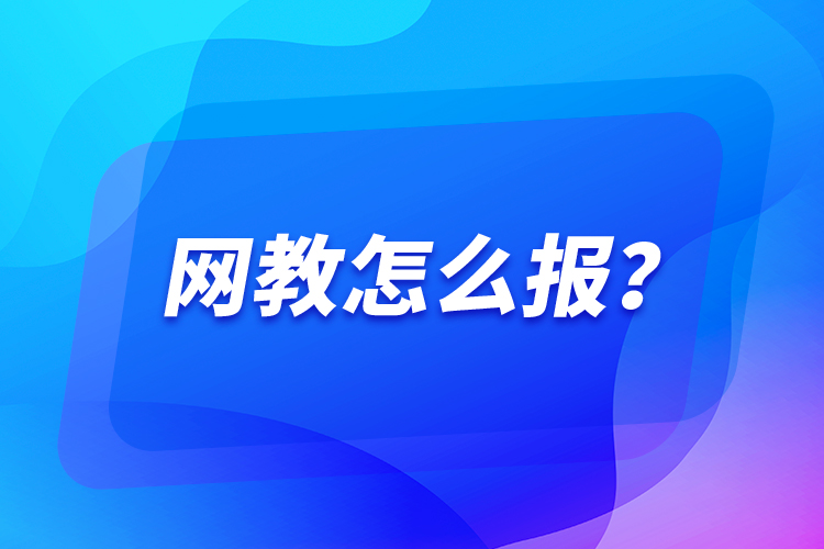 網(wǎng)教怎么報？