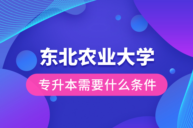 東北農(nóng)業(yè)大學(xué)專升本需要什么條件？