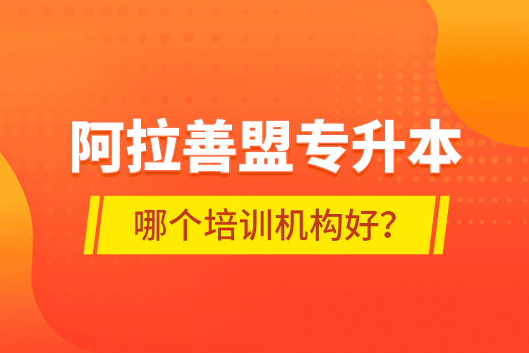 阿拉善盟專升本哪個(gè)培訓(xùn)機(jī)構(gòu)好？
