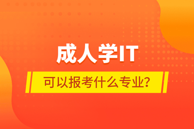 成人學(xué)IT可以報考什么專業(yè)？