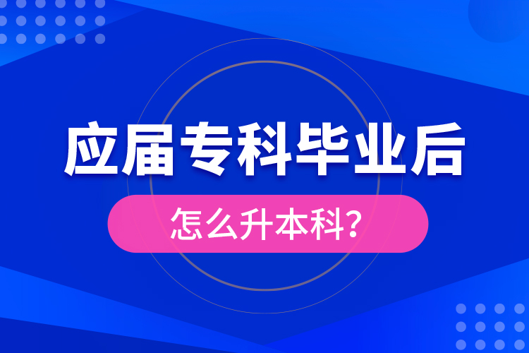 應(yīng)屆?？飘厴I(yè)后怎么升本科？