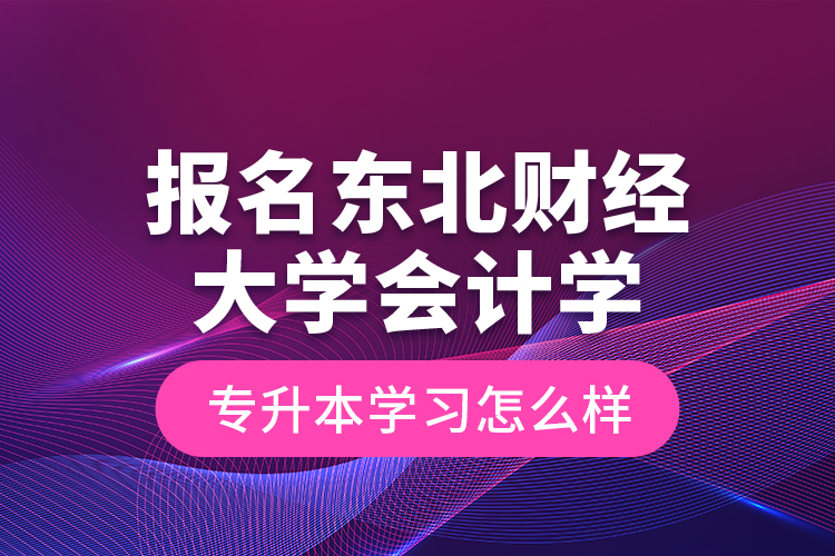 報(bào)名東北財(cái)經(jīng)大學(xué)會(huì)計(jì)學(xué)專升本學(xué)習(xí)怎么樣？