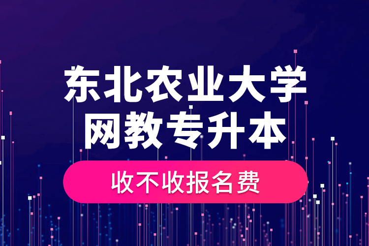 東北農(nóng)業(yè)大學(xué)網(wǎng)教專升本收不收報名費？