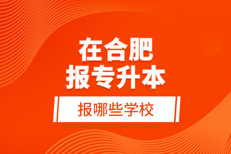 在合肥報(bào)專升本報(bào)哪些學(xué)校？