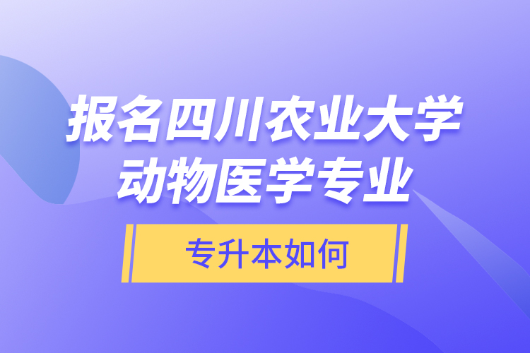 報名四川農(nóng)業(yè)大學(xué)動物醫(yī)學(xué)專業(yè)專升本如何？