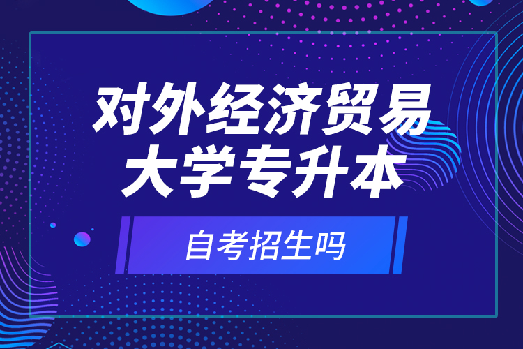對外經(jīng)濟貿(mào)易大學專升本自考招生嗎？