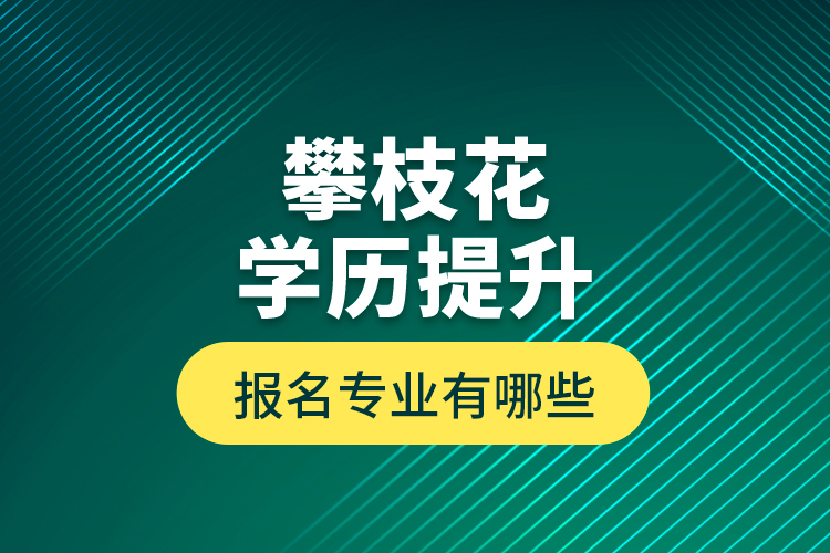攀枝花學歷提升報名專業(yè)有哪些？