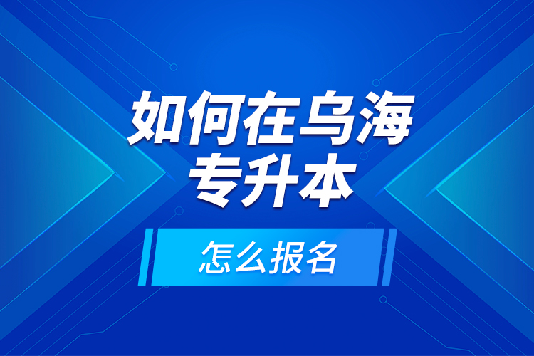 如何在烏海專升本，怎么報(bào)名？